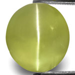 10.02-Carat Indian Chrysoberyl Cat's Eye with Strong Chatoyance