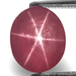 3.95-Carat Bright Pinkish Red Star Ruby with Clear 6-Ray Star