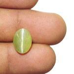 6.65-Carat Natural & Untreated Indian Chrysoberyl Cat's Eye