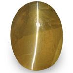 1.29-Carat Deep Yellowish Brown Sri Lankan Chrysoberyl Cat's Eye