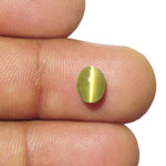 1.79-Carat Brownish Green Chrysoberyl Cat's Eye from Sri Lanka