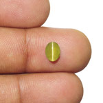 1.14-Carat Brownish Green Chrysoberyl Cat's Eye (IGI-Certified)