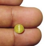 2.09-Carat Golden Yellow Chrysoberyl Cat's Eye from Sri Lanka