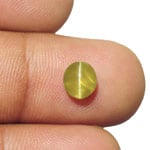 1.61-Carat Intense Golden Yellow Ceylon Chrysoberyl Cat's Eye