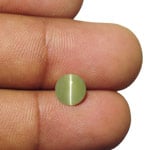 1.70-Carat IGI-Certified Yellowish Green Chrysoberyl Cat's Eye