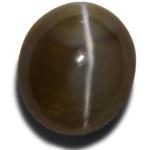 5.06-Carat Chrysoberyl Cat's Eye with 4-Ray Star