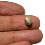 3.62-Carat Brownish Green Chrysoberyl Cat's Eye (AIGS)