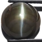 4.61-Carat Beautiful Greyish Green Chrysoberyl Cat's Eye