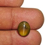 4.27-Carat Rare Honey Color Chrysoberyl Cat's Eye from Ceylon