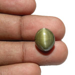 10.54-Carat Large Olive Green Chrysoberyl with 4-Ray Star Effect