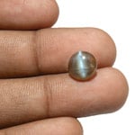 3.10-Carat Rare Honey Color Chrysoberyl Cat's Eye with Blue Eye