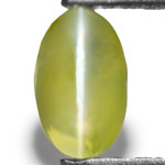 1.50-Carat Splendid Yellowish Green Chrysoberyl Cat's Eye