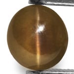 1.57-Carat Deep Brownish Honey Chrysoberyl Cat's Eye