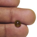 1.57-Carat Deep Brownish Honey Chrysoberyl Cat's Eye