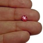 1.77-Carat Carat Intense Pinkish Red Star Ruby (Unheated)