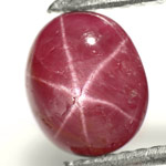 1.58-Carat Purplish Red Star Ruby from Mogok, Burma