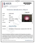 81.92-Carat AIGS-Certified Large Violet Star Ruby from India