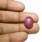 11.26-Carat Large Purplish Red Star Ruby from Vietnam (AIGS)