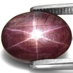 32.81-Carat Dark Purple 6-Ray Star Ruby from West Africa