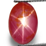 3.18-Carat Natural & Unheated Star Ruby from Vietnam