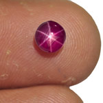 1.24-Carat Pinkish Purplish Red Star Ruby from Quy Chau Mines