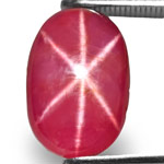 5.63-Carat Unheated Vietnamese Star Ruby with Sharp 6-Ray Star