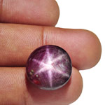 33.62-Carat Dark Purplish Red Star Ruby from India (AIGS)