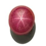 7.04-Carat Pleasing 6-Ray Star Ruby (Natural & Untreated)