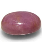 24.25-Carat Large Pink Star Sapphire from Vietnam (Unheated)