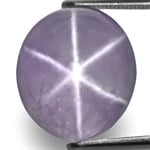 12.84-Carat GIA-Certified Unheated Ceylon Star Sapphire