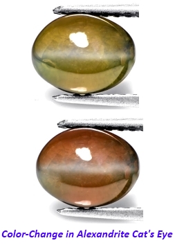 Color Change of Alexandrite Cat's Eye