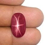 13.49-Carat Natural & Untreated Star Ruby from Quy Chau Mines