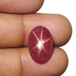 12.77-Carat Intense Pinkish Red Star Ruby from Vietnam (IGI)