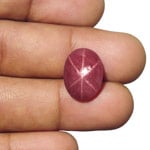 14.87-Carat Star Ruby from Quy Chau Mines, Vietnam (Unheated)