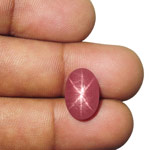 9.85-Carat Pinkish Red Star Ruby from Vietnam (Sharp 6-Ray Star)