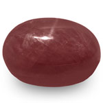 8.45-Carat 10mm Round Purplish Red Star Ruby from Vietnam (IGI)