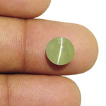 3.77-Carat 8mm Round Chrysoberyl Cat's Eye with Sharp Ray (IGI)