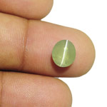 3.55-Carat Yellow Green Chrysoberyl Cat's Eye with Sharp Ray