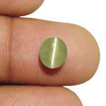 2.65-Carat Natural & Untreated Indian Chrysoberyl Cat's Eye