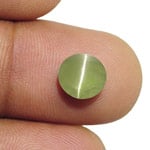 3.63-Carat Intense Yellowish Green Indian Chrysoberyl Cat's Eye